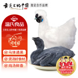 温氏供港白凤乌鸡600g*3 高品质供港鸡 十全乌骨鸡 农家慢养土鸡整鸡 