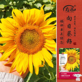 寿禾 向日葵种子苗观赏花卉种籽家庭阳台 小狮子向日葵种子5g约100粒