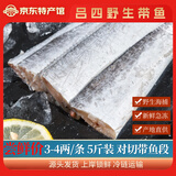 吕洞宾带鱼东海带鱼段 对切中段特大南通启东小眼老鹰带鱼 刀鱼生鲜鱼类 【每日限20单】3-4两/条 5斤装