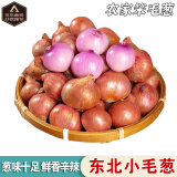 倾睦东北毛葱头 吉林特产干香笨毛葱鬼子珠葱小圆葱红葱头水果小洋葱 5斤 中葱【单葱2-3cm】