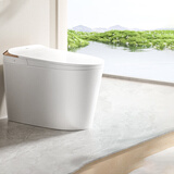 九牧（JOMOO）智能马桶带水箱全自动魔力泡抗菌脚感冲水无水压限制智能座便器 ZS560I-S2-铂金除臭-