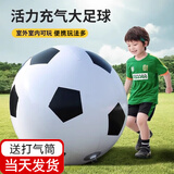 TaTanice充气大足球户外草坪沙滩玩具儿童足球巨型皮球幼儿园专用礼物 【加厚】60CM大足球【送充气筒】