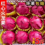 金都一号红心火龙果红肉蜜宝新鲜孕妇水果当季现摘果园直发整箱 3斤中果【单果200-300g】