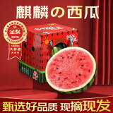 春福乐 麒麟西瓜 新鲜水果当季现摘8424麒麟西瓜脆甜多汁整箱送礼 净重5-7斤【多重防摔保护】