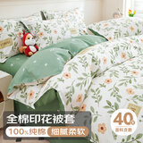 云瑾A类抗菌纯棉被套单件100%全棉被罩印花双人家用180*200cm青柠薄荷