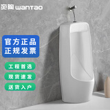 宛陶（wanTao）落地式小便器陶瓷一体感应式小便斗家用公共立式配感应器小便池 8824款手按冲水小便器