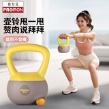 PROIRON普力艾 软壶铃 男女士提壶哑铃壶健身壶铃软底壶铃不怕摔 6KG