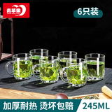 青苹果加厚耐热玻璃茶杯带盖茶饮杯盖杯带把杯子办公家用喝水杯泡茶杯 厚底中腰杯-无盖 245ml 6只