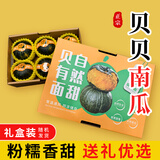 京鲜匠山东贝贝南瓜正宗 栗香小南瓜 香甜粉糯老瓜 蔬菜源头产地直发 甄选礼盒 净 4.5斤