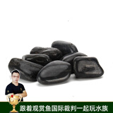 云峰海瑞砂石鱼缸造景装饰石头鹅卵石园艺小石头五彩石天然砂石底砂 黑色鹅软石 500g