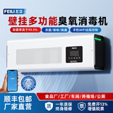 飞立（FEILI）壁挂臭氧发生器食品工厂洁净车间臭氧消毒机BT系列【卫健委备案】 W810BT 10g/h（遥控+APP远程+循环）