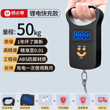 味之享高精度迷你手提电子秤50kg便携式家用快递称小秤弹簧小型挂钩买菜 【热卖推荐】大提环+充电线