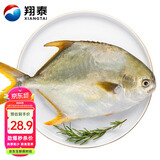 翔泰 海南大规格金鲳鱼550g1条 海鱼 生鲜鱼类 火锅 海鲜水产