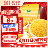 十月稻田 黄小米 1kg 小米粥 五谷杂粮 小黄米 粗粮 早餐粥米 2斤