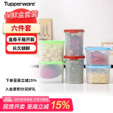 特百惠（Tupperware）冰箱保鲜盒6件套露营野餐盒冷冻0.7L*2+冷藏0.8L*2+干货1.1L*2