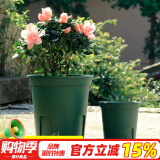 德沃多肥料青山控根盆1号*3种菜盆阳台植物加厚花盆加仑盆园艺绿植盆栽通用