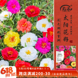寿禾 太阳花种子苗混色重瓣四季种植种籽 太阳花种子(混色重瓣)2万粒