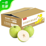 京鲜生 河北青翠蜜梨 净重3斤 单果220g+ 生鲜水果 源头直发