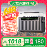 山水E96歌词音箱户外K歌蓝牙直播声卡音响五喇叭立体声重低音炮混响带双麦克风电木吉他民谣乐器音箱