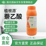 国光植根源5%萘乙酸花卉苗木果树移栽生根剂1升