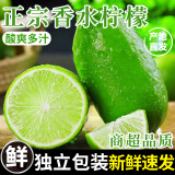 粤迎正宗海南无籽香水柠檬级果新鲜采摘青柠檬奶茶店源头直发生鲜商用 净2斤精选果【酸爽多汁】