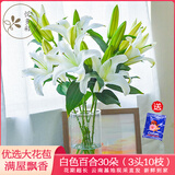 悦多彩AB级优质香水百合 家庭办公室各色生活鲜花 昆明基地 现采直发 白色百合花30朵（3头10枝）