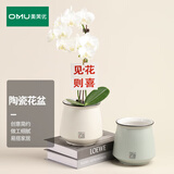 奥美优花盆陶瓷轻奢简约大号家用室内多肉绿植吊兰蝴蝶兰花客厅阳台桌面