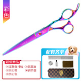 玄鸟宠物剪刀家用狗狗理发弯剪修毛剪毛剪子宠物美容剪刀工具套装 七彩色直剪