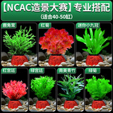 疯狂水草（FKSC）鱼缸造景专用真水草套餐净化水质懒人鱼缸水草植物直接入缸蜈蚣草 【赛级精品】】专业搭配适合40-50缸（送营养液））