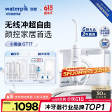 洁碧（Waterpik）冲牙器家用台式洗牙器水牙线洁牙器家用预防牙结石小魔盒GT17-12白礼物 生日礼物