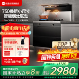 优盟（UM）集成灶一体式750mm小户型家用大吸力侧吸下排自清洁小尺寸抽油烟机燃气灶套装国家补贴JJZT-UJ257