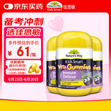 佳思敏（Nature's Way）儿童维C 黑接骨木免疫力VC软糖3瓶套装 60粒/瓶 2岁以上非礼盒