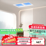 易来易来led智能全光谱吸顶灯客厅卧室餐厅灯青空灯 已接入米家APP 40W 15㎡内适用 1000lm G6Mini