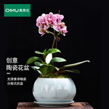奥美优简约青瓷办公室绿植盆栽创意家用摆件陶瓷多肉花盆粉青（带底碟）