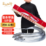 卖鱼七郎青岛带鱼礼盒5斤 整条带鱼海鲜年货送礼生鲜鱼类源头直发