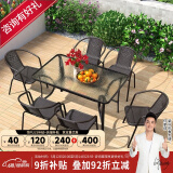 紫叶户外桌椅组合 阳台桌椅 现代简约 庭院露天铁艺休闲桌椅餐桌藤椅 6【椅】+1【长桌有孔120X80】