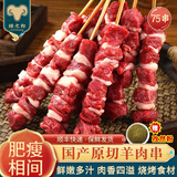 绿之邦（Luzhibang） 国产原切羊肉串新鲜羊肉半成品烤肉串户外烧烤食材BBQ冷冻生鲜 羊肉串75串 净重975g