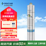 爱惠浦（Everpure）家用净水器直饮机净饮机主滤芯 EF-900P 主滤芯
