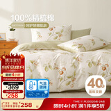 博洋家纺床上用品四件套纯棉被套床笠100%棉套件全棉被罩1.8米床春日