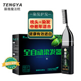 藤雅全自动染发器一梳黑魔法梳染发剂梳膏泡泡植物提取中老年遮盖白发 自然黑色（染发梳+1盒染发剂）