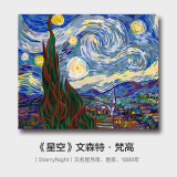 史历克 数字油画DIY世界大师名作合集1手工涂色画创意减压填色油画 星空（梵高）FZ-590 40*50cm 彩布(要自己涂色)