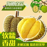 小憨哇泰国金枕头榴莲新鲜带壳进口应季水果整箱精品老树果整箱批发鲜果 净重2-3斤