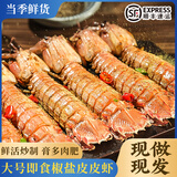 鲜喜利真正舟山椒盐皮皮虾即食零食新鲜鲜活海鲜熟食罐装麻辣虾姑琵琶虾 椒盐皮皮虾 300g(净重)  （共2盒）