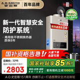 史密斯（A.O.SMITH）13升精钢燃气热水器 国家补贴  防一氧化碳中毒  智能APP智慧安全 主动服务 JSQ26-TM5Wi 以旧换新