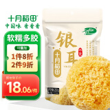 十月稻田  银耳糯耳 200g 丑耳白木耳 银耳莲子桂圆百合羹配料 炖煮软糯