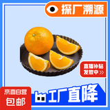 京喜加伦晚夏橙脐橙手剥橙 带箱1斤小果60-65mm