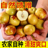 盛觅 陕西大荔冬枣新鲜水果当季整箱大枣子脆甜多汁冰糖冬枣整箱 3斤超值装净重2.5斤+ 自有果园