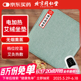 同仁堂北京同仁堂电加热艾灸坐垫办公室纯艾草绒汽车坐垫礼物盒 浅绿色