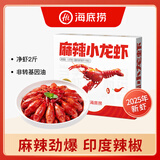 海底捞麻辣小龙虾3斤量贩装 2025年新虾3-5钱/只 净虾2斤整虾加热即食