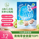 溜溜梅薄荷雪梅 孕妇儿童休闲零食小包装零食即食果干100g/袋